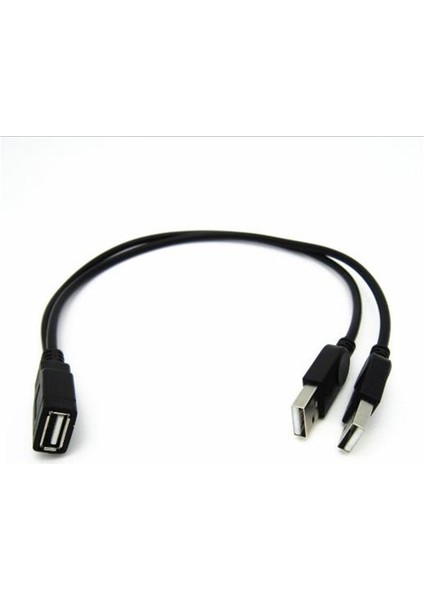 USB Y Bilgisayar Bir Nokta Iki Veri Güç Kablosu Kablosu USB Çift Splitter Kablo Dişi USB 2.0 Erkek Güç Uzatma Kablosu 30 cm (Yurt Dışından)
