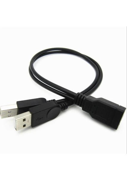 USB Y Bilgisayar Bir Nokta Iki Veri Güç Kablosu Kablosu USB Çift Splitter Kablo Dişi USB 2.0 Erkek Güç Uzatma Kablosu 30 cm (Yurt Dışından)