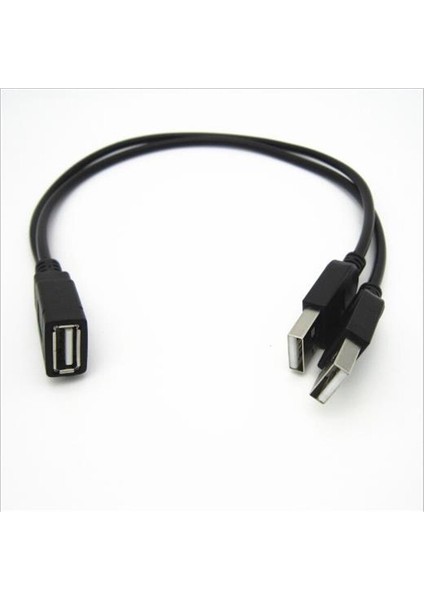 USB Y Bilgisayar Bir Nokta Iki Veri Güç Kablosu Kablosu USB Çift Splitter Kablo Dişi USB 2.0 Erkek Güç Uzatma Kablosu 30 cm (Yurt Dışından)