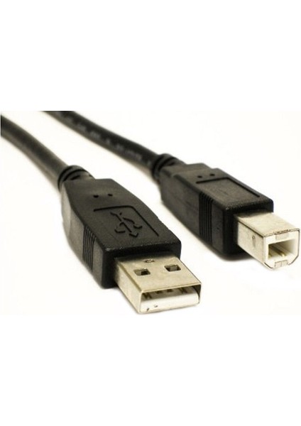 USB 2.0 Tarayıcı Yazıcı Kablosu Tip A Erkek Tip B Erkek USB Uzatma Baskı Kablosu Yazıcı HDD Için Yüksek Hızlı Şeffaf (Yurt Dışından) modelleri