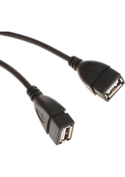 USB 2.0 A Erkek 2 Çift USB Dişi Jack Y Splitter Hub Uzatma Kablosu Adaptör Kablosu Güç Z4I2 (Yurt Dışından)