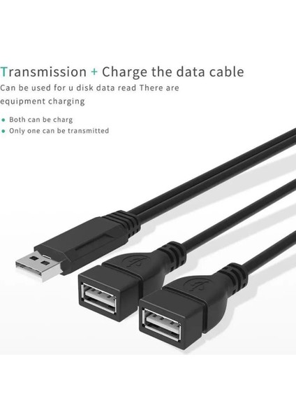 USB 2.0 A Erkek 2 Çift USB Dişi Jack Y Splitter Hub Uzatma Kablosu Adaptör Kablosu Güç Z4I2 (Yurt Dışından)