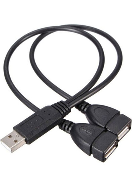 Sıcak 30 cm USB 2.0 A Erkek 2 Çift Dişi Jack Y Splitter Hub Güç Kablosu Adaptör Kablosu (Yurt Dışından) fiyatları