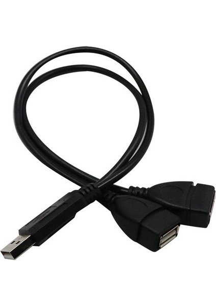 Sıcak 30 cm USB 2.0 A Erkek 2 Çift Dişi Jack Y Splitter Hub Güç Kablosu Adaptör Kablosu (Yurt Dışından) modelleri