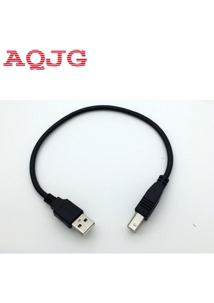 30CM USB 2.0 Tip A Erkek B Erkek (Am'den Bm'ye) Adaptör Dönüştürücü Epson Yazıcı Için Kısa Veri Kablosu Kablosu Siyah (Yurt Dışından)