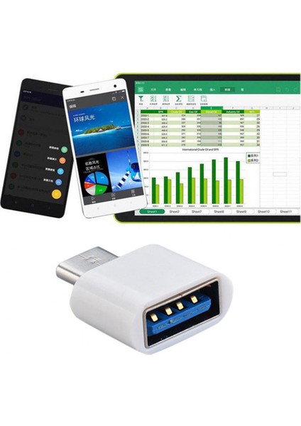 Fare Flash Sürücü Için Kullanılır 2 Adet Yüksek Hızlı Erkek Kadın Tip-C USB Otg Dönüştürücü Cep Tablet Telefon Pc Adaptörü (Yurt Dışından) modelleri