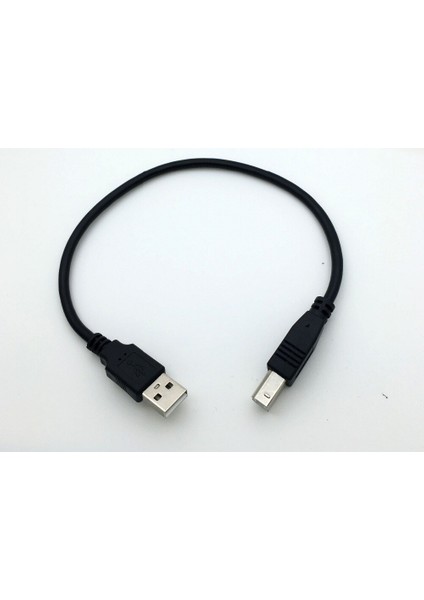 30CM USB 2.0 Tip A Erkek B Erkek (Am'den Bm'ye) Adaptör Dönüştürücü Epson Yazıcı Için Kısa Veri Kablosu Kablosu Siyah (Yurt Dışından) modelleri