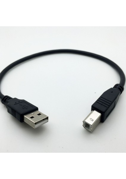 30CM USB 2.0 Tip A Erkek B Erkek (Am'den Bm'ye) Adaptör Dönüştürücü Epson Yazıcı Için Kısa Veri Kablosu Kablosu Siyah (Yurt Dışından) fırsatları