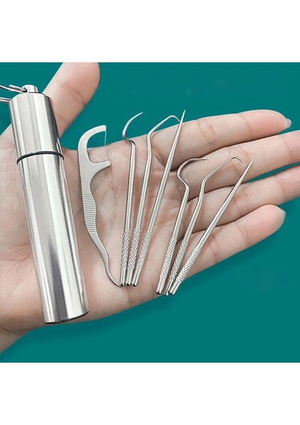 Stks/set Rvs Tandenstokers Metalen Orale Temizleme Diş Diş Bleken Draagbare Tandenstoker Ipi Tanden Temizleyici Opslag Buis (Yurt Dışından)