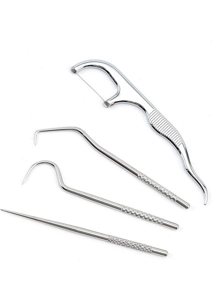 Takım Metal Paslanmaz Çelik Ağız Temizleme Diş Diş Ipi Artefakt Taşınabilir Kolye Kürdan Tüpü Güçlü Diş Ipi (Yurt Dışından) fiyatları