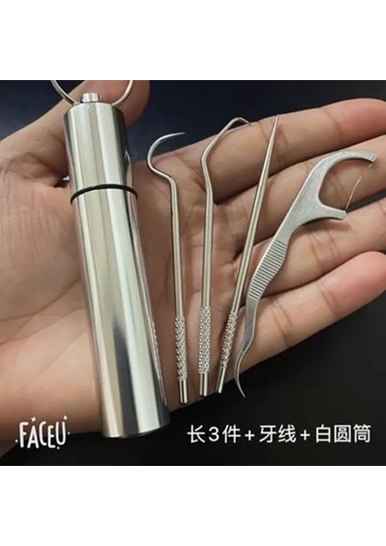 Taşınabilir 4/6 Adet Yeniden Kullanılabilir Paslanmaz Çelik Kürdan Metal Diş Kazıyıcı Diş Seçtikleri Kanca Temizleme Kiti Kürdan Tutucu ile (Yurt Dışından)