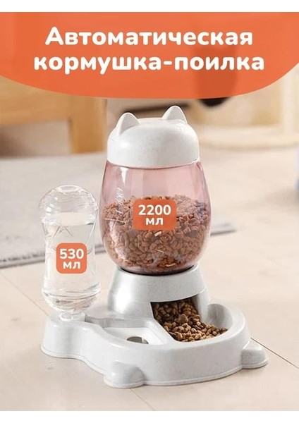 Otomatik Kedi ve Köpek Mama Kabı/kase + Suluk (Yurt Dışından)
