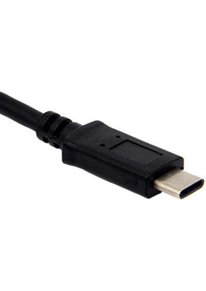 20 cm USB 3.1 Tip-C - Sata 3.0 Kablosu Usb-C Tip C - Seri Ata Iıı 7 + 15 22PIN Dönüştürücü Macbook Smartphone 2.5 Için (Yurt Dışından)