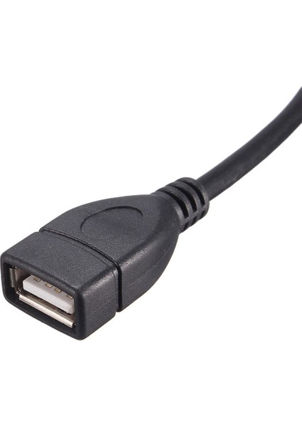 10 Pin / 9pin Anakart Dişi Başlık - Çift USB 2.0 Dişipanel Montajlı Veri Kablosu Vidalı Panel Delikli (Yurt Dışından)