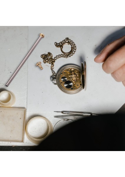 Kutu Saat Onarım Alet Seti Kitleri Saat Kayışı Vidaları Çeşitler Tüp (Yurt Dışından) fiyatları