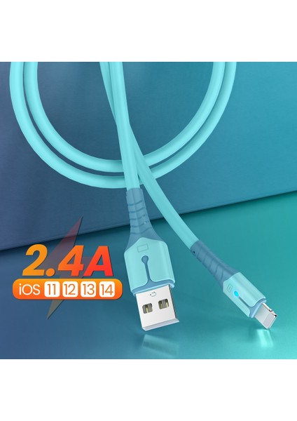 Oruç Şarj USB Kablosu iPhone 13 12 11 Pro Max Xs x 8 7 6s Sıvı Silikon Veri Kablosu Cep Telefonu Şarj Cihazı Aydınlatma Kablosu (Yurt Dışından)
