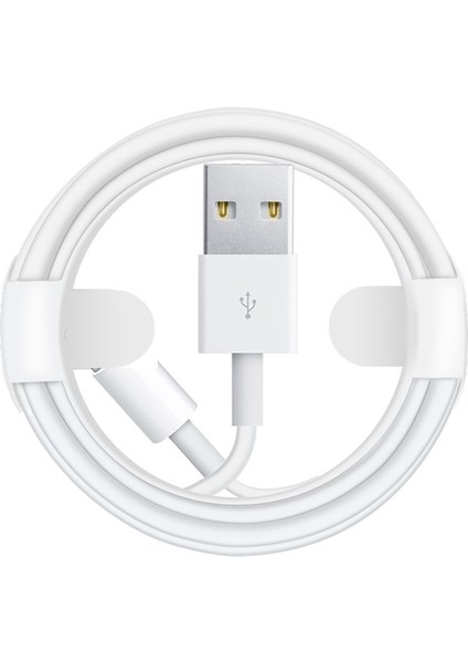 25CM 1m 2m 3m USB Şarj Kablosu Apple iPhone 11 12 Pro x Xs Max Xr 5 5s Se 6 6s 7 8 Artı ipad Mini Hava 2 Şarj Hattı Teli (Yurt Dışından)