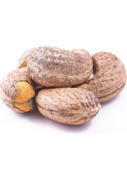 Kavrulmuş Kabuklu Kaju 250 gr fiyatları