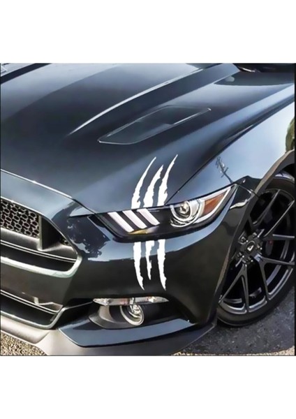 Monster Pençe Sticker 30*12 cm