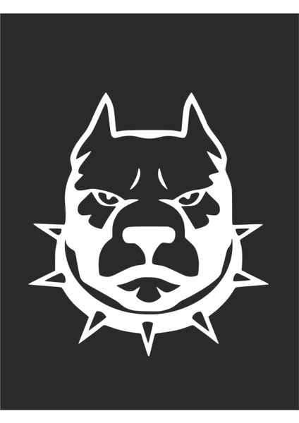 Tasmalı Pitbull Sticker 15*15 cm - Oto Sticker - Araba Çıkartma