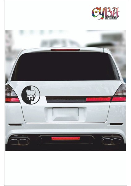Pitbull Sticker 15*15 cm - Oto Sticker - Araba Çıkartma