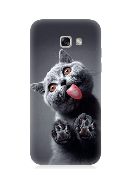 Samsung Galaxy A5 2017 Uyumlu Sevimli Boz Kedi Dili Desenli Silikon Kılıf