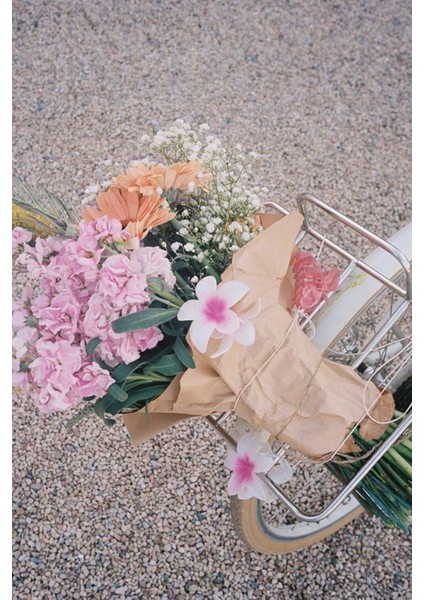 Hibiscus Lüks Asetat Mandal Toka fiyatları