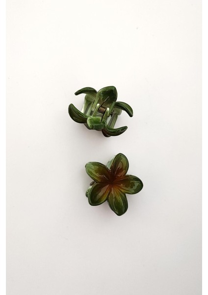 Hibiscus Lüks Asetat Çiçek Mandal Toka Mini Boy 2'li Paket fiyatları