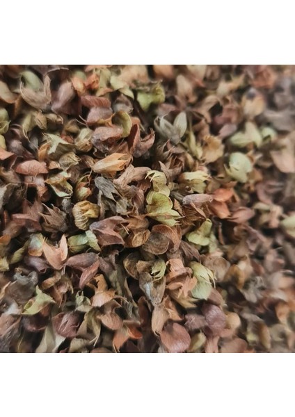 Fesleğen 250 GR