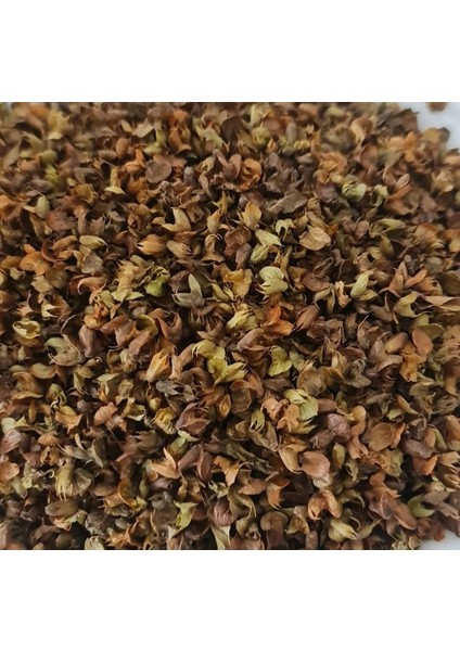 Fesleğen 250 GR fiyatları
