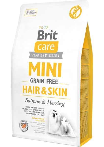 Tahılsız 2kg Mini Adult Hair Skin Somon ve Ringa Balıklı Yetişkin Köpek Maması