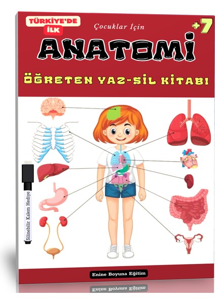 Çocuklar İçin Anatomi Öğreten Yaz - Sil Kitabı