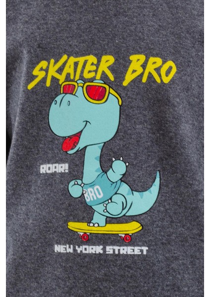 Girls & Boys Erkek Çocuk Uzun Kollu Tişört Kaykaycı Gözlüklü Dinozor Baskılı 1-4 Yaş, Koyu Gri Melanj modelleri