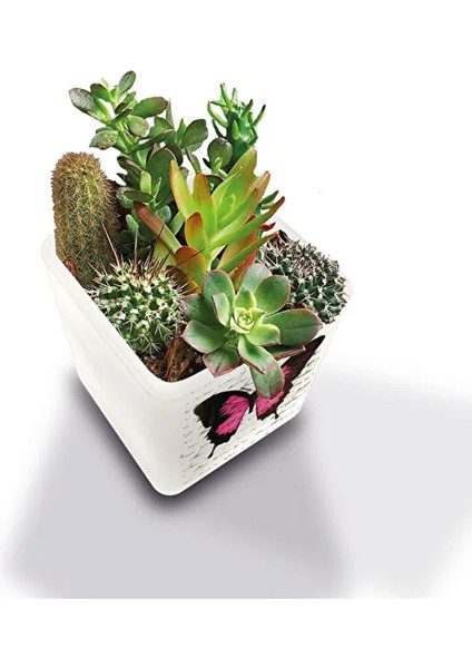 Dekoratif Buzlu Cam Mumluk Kelebek Desen 8x8 cm (4 Adet)