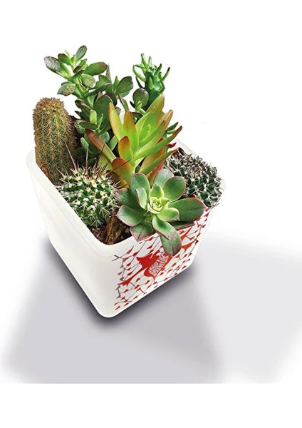 Dekoratif Buzlu Cam Mumluk Karen Kuşlar Desen 8x8 cm (4 Adet)