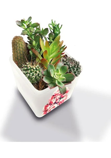 Dekoratif Buzlu Cam Mumluk Pembe Güller Desen 8x8 cm (4 Adet)