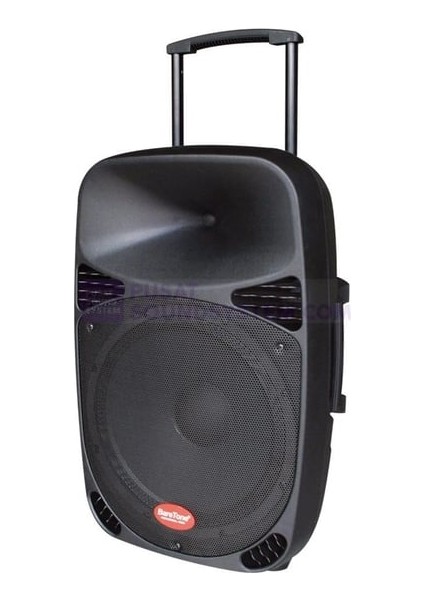 MAX-12MHWR Taşınabilir Hoparlör,2xkablosuz Mikrofon,mp3,bt modelleri