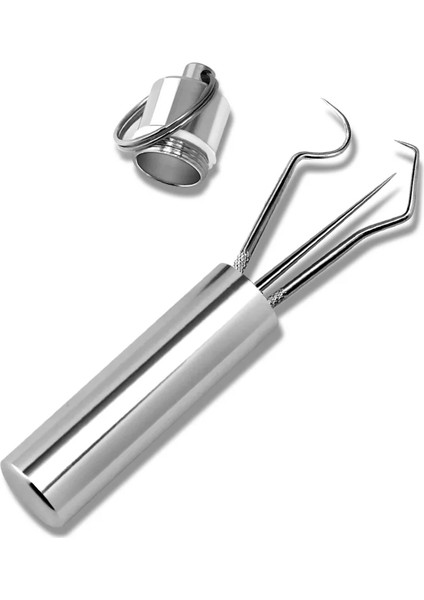 3 Types Portable Toothpicks Stainless Steel Tooth Pick Sticks Pocket Toothpick With Holder For Teeth Cleaning Teeth Care Tools (Yurt Dışından) fiyatları