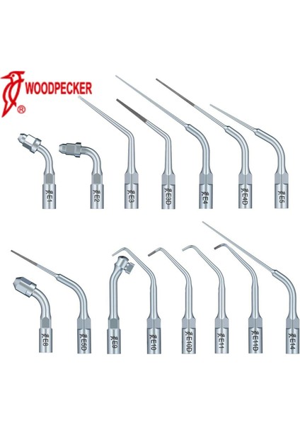 E1-1pc Tarzı Ağaçkakan Dental Ultrasoaler Kanal Uçları Endodonti Ucu E1 E2 E3 E3D E4 E4D E5 E5D E8 E9 E10 E10D E11D E14 Uds Ems (Yurt Dışından)