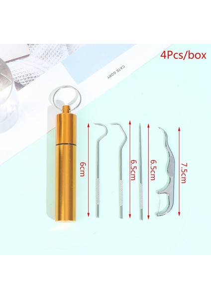 Çoklu Stil Yeniden Kullanılabilir Kürdan Seyahat Meyve Çatalı Kürdan Diş Temizleme Diş Ipi (Yurt Dışından)