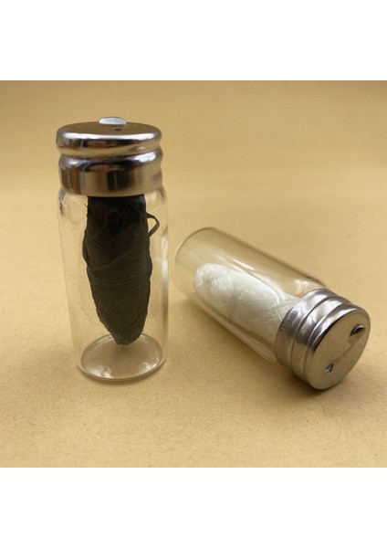 Nude Tarzı 30M Bambu Diş Pensesinde Ağız Hijyeni Diş Temizleme Balmumu Nane Aromalı Diş Ipi Biriktirme Kürdan Diş Pensesinde Cam Şişe (Yurt Dışından) modelleri