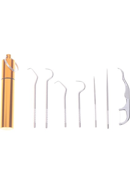 Gümüş Tarzı Yeniden Kullanılabilir Kürdan Seyahat Meyve Çatalı Kürdan Diş Temizleme Diş Ipi (Yurt Dışından) indirimleri