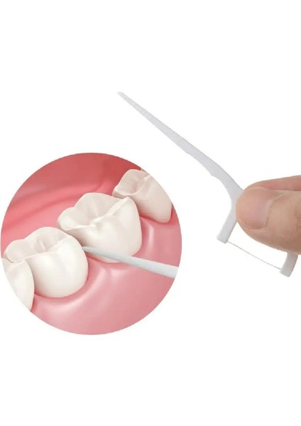 Diğer Stil 4 Stil Taşınabilir Ipi Tek Kullanımlık Flosser Interdental Fırça Diş Çubuk Kürdan Flok Ağız Diş Temizleme Bakım Sakız Azaltmak (Yurt Dışından)