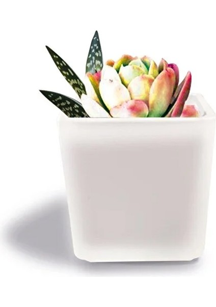 Dekoratif Buzlu Cam Mumluk 8x8 cm (2 Adet)