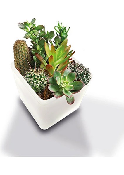 Dekoratif Buzlu Cam Mumluk 8x8 cm (2 Adet)