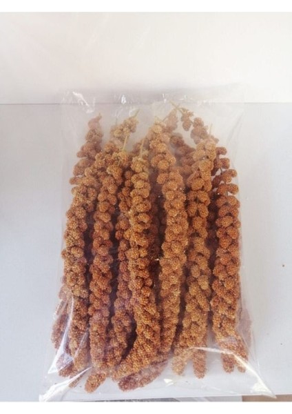 Kızıl Dal Darı 250G Daldarı