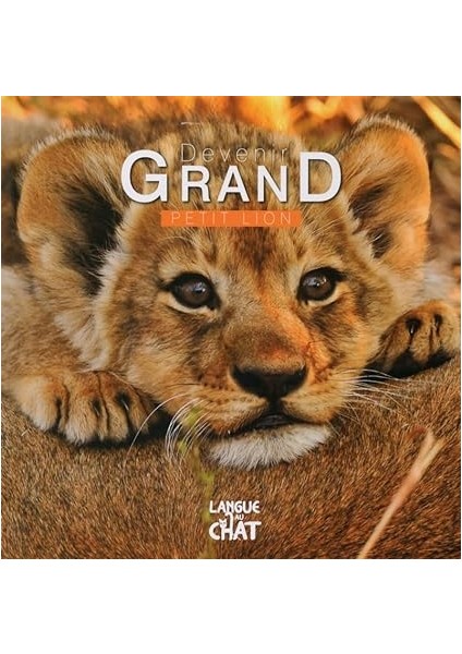 Devenir Grand Petit Lion (French Edition) - Pierre Demoitié