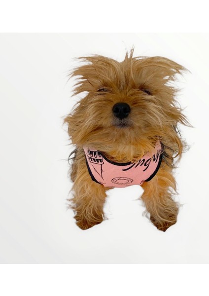 Pink Istanbul Atlet Köpek Kıyafeti Köpek Elbisesi