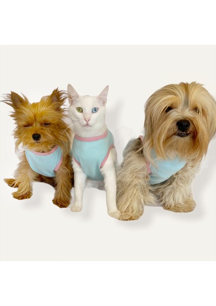 Minty Flower Power Atlet Köpek Kıyafeti - Köpek Elbisesi S
