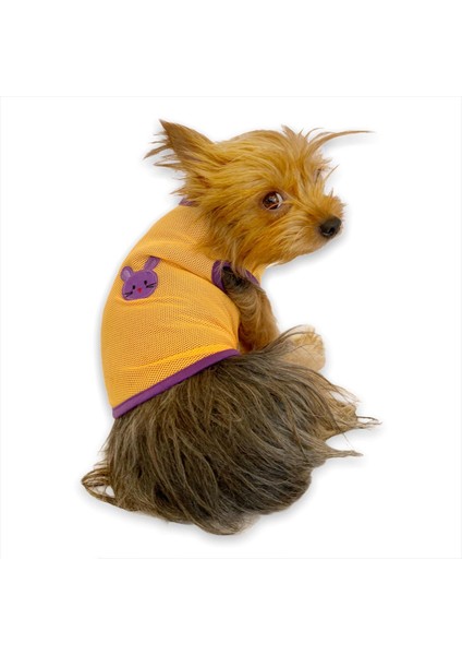 Lakers Atlet Köpek Kıyafeti - Köpek Elbisesi Xl